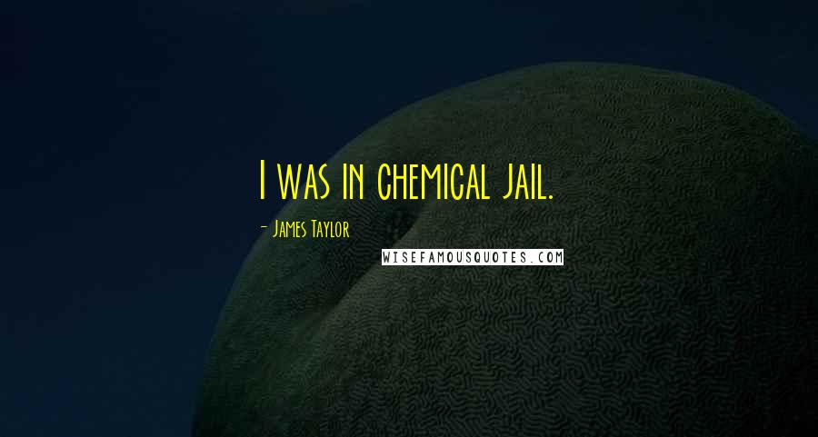James Taylor Quotes: I was in chemical jail.