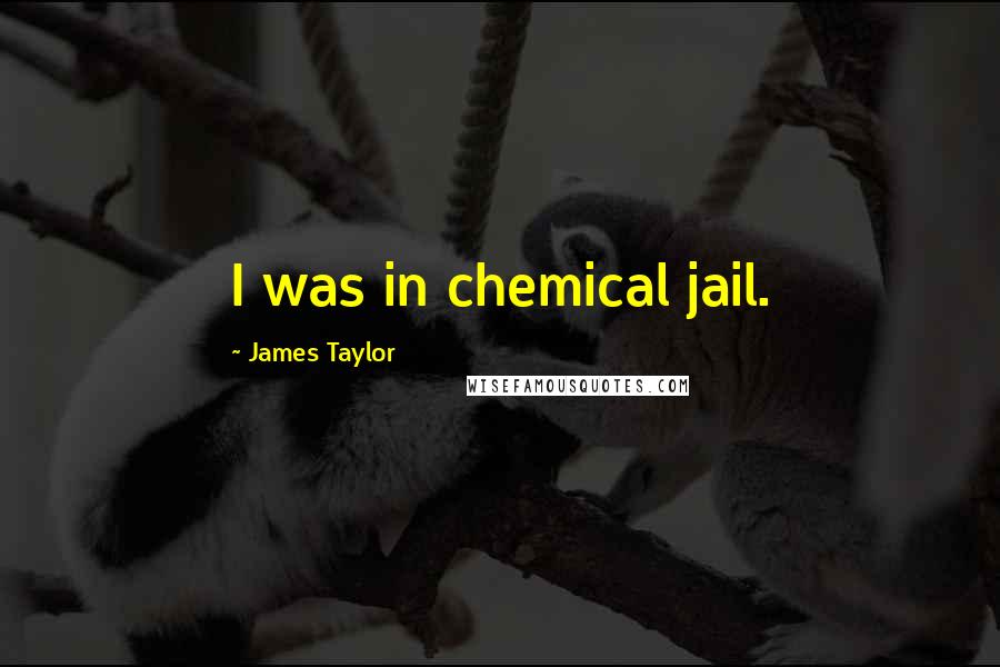 James Taylor Quotes: I was in chemical jail.