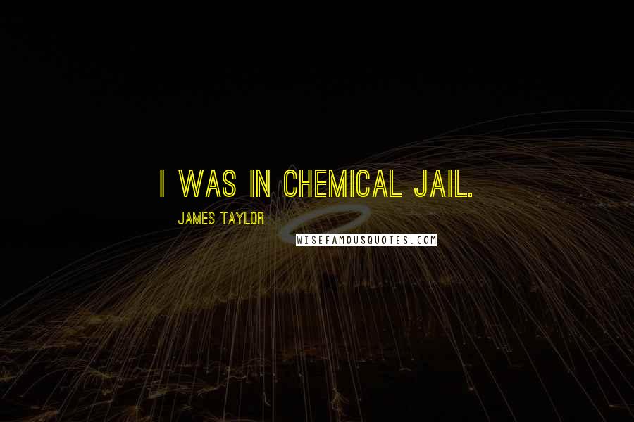 James Taylor Quotes: I was in chemical jail.