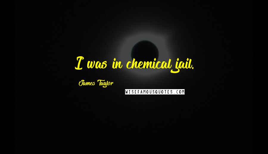 James Taylor Quotes: I was in chemical jail.