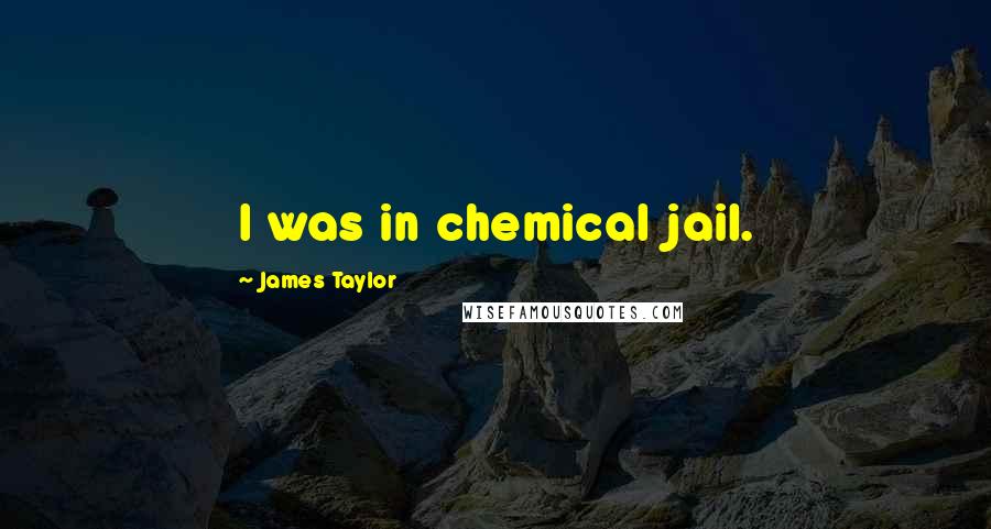 James Taylor Quotes: I was in chemical jail.