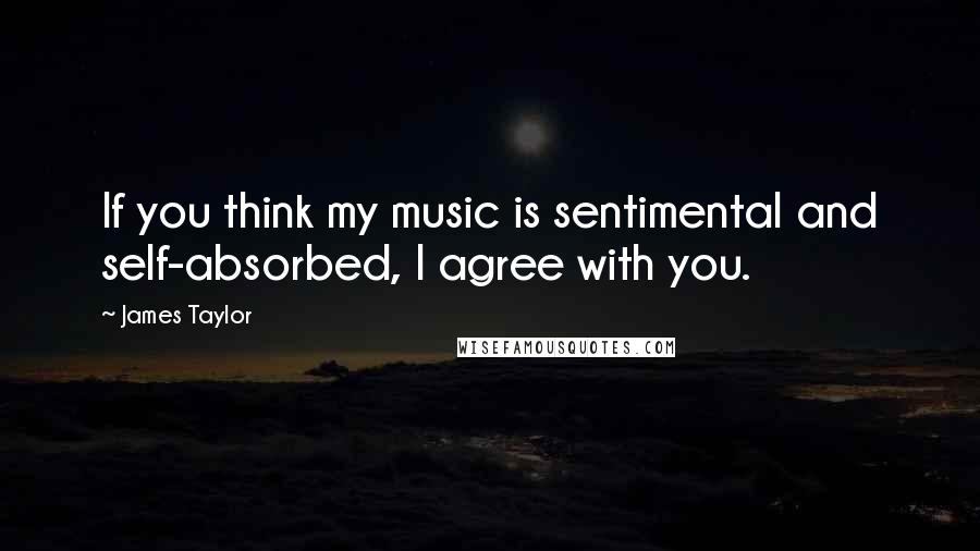 James Taylor Quotes: If you think my music is sentimental and self-absorbed, I agree with you.