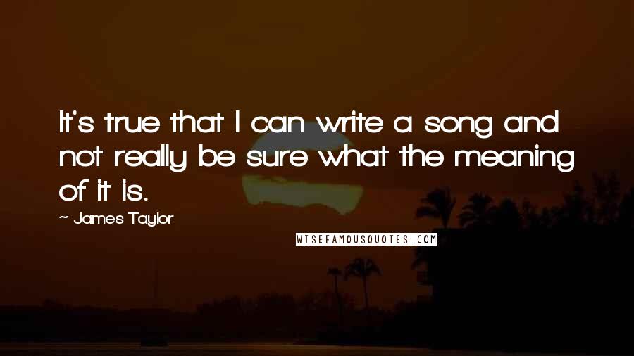 James Taylor Quotes: It's true that I can write a song and not really be sure what the meaning of it is.