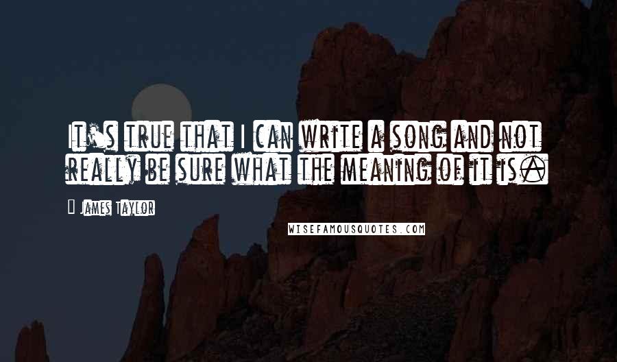James Taylor Quotes: It's true that I can write a song and not really be sure what the meaning of it is.