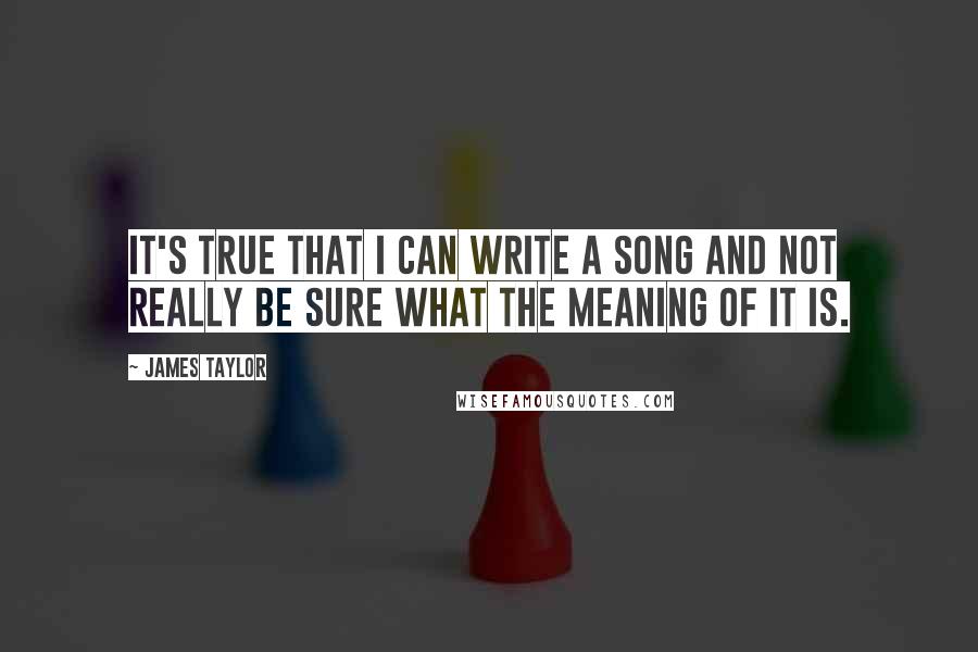 James Taylor Quotes: It's true that I can write a song and not really be sure what the meaning of it is.