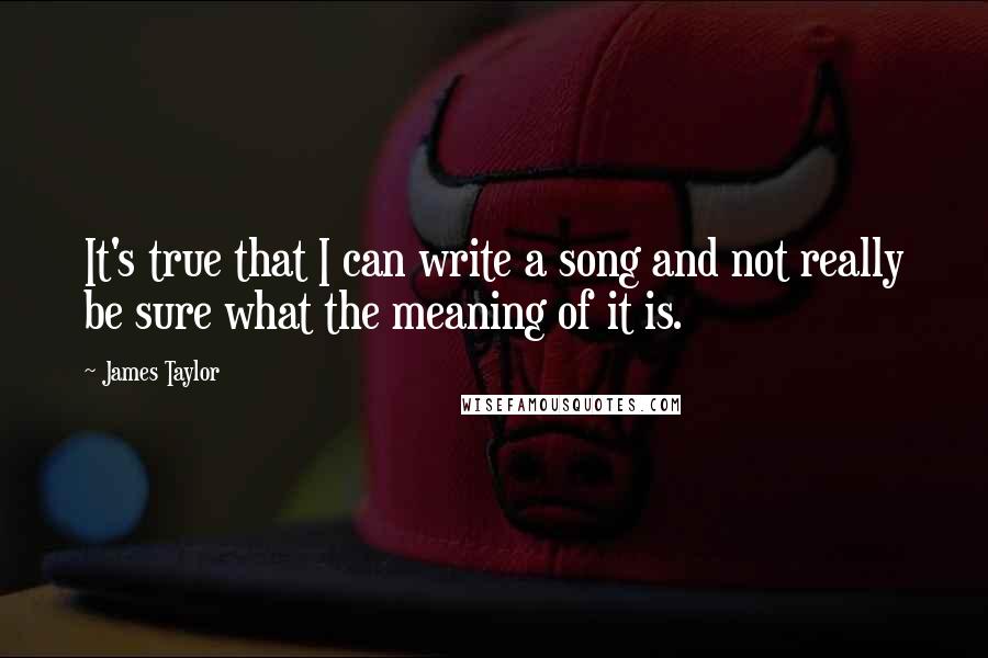 James Taylor Quotes: It's true that I can write a song and not really be sure what the meaning of it is.