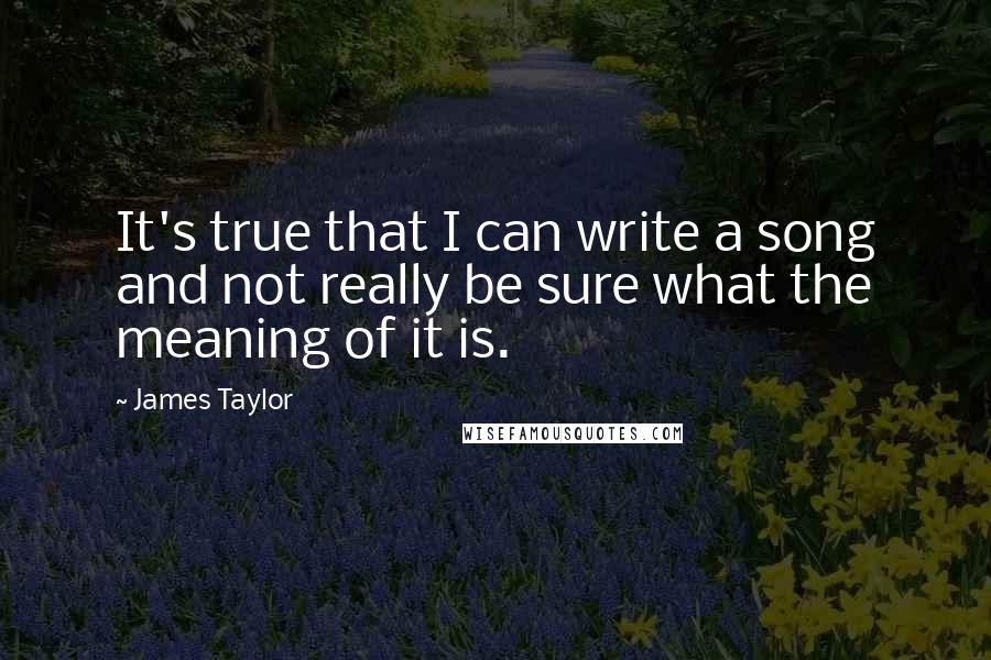 James Taylor Quotes: It's true that I can write a song and not really be sure what the meaning of it is.