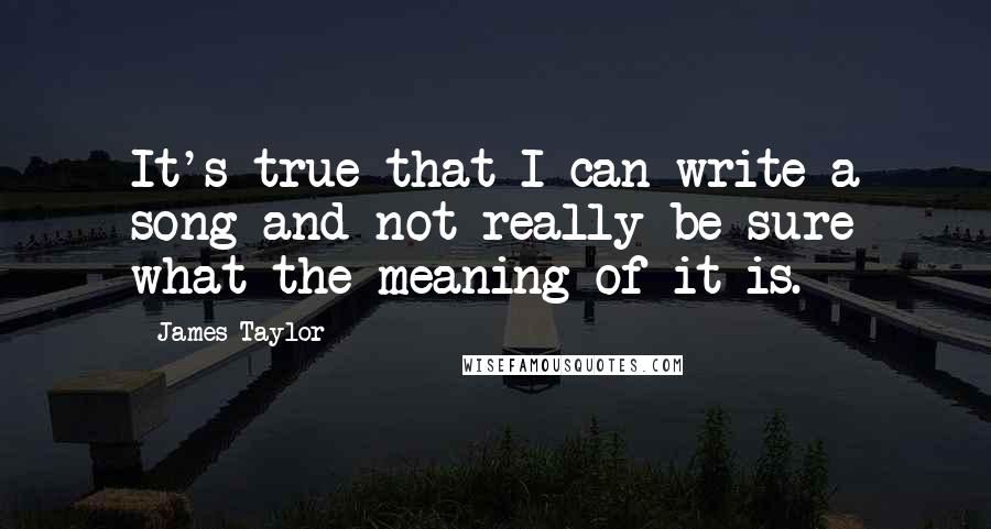 James Taylor Quotes: It's true that I can write a song and not really be sure what the meaning of it is.