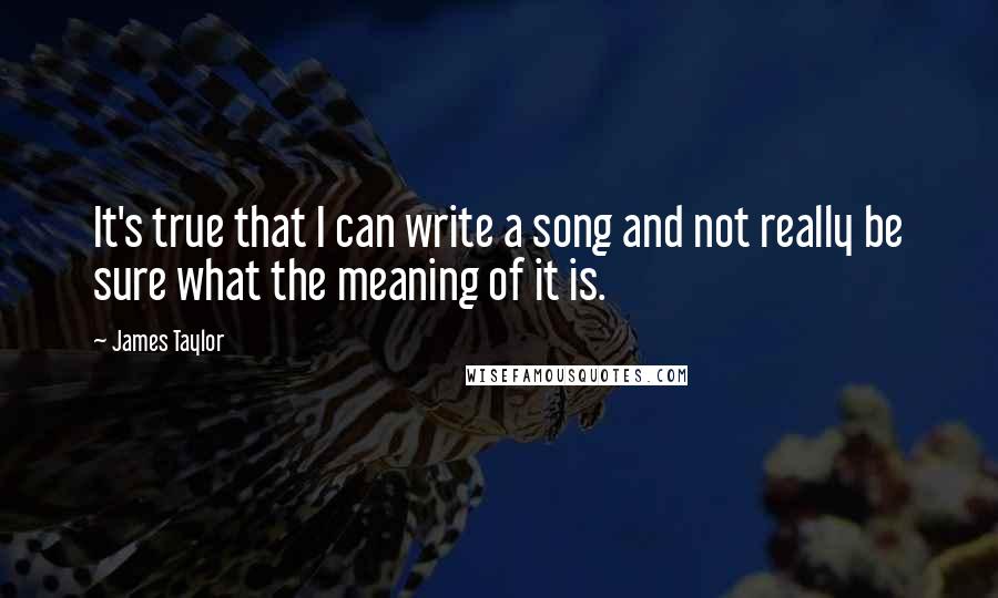 James Taylor Quotes: It's true that I can write a song and not really be sure what the meaning of it is.