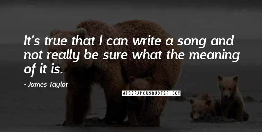 James Taylor Quotes: It's true that I can write a song and not really be sure what the meaning of it is.