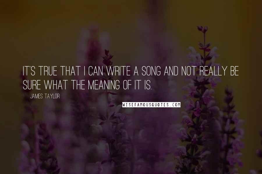 James Taylor Quotes: It's true that I can write a song and not really be sure what the meaning of it is.