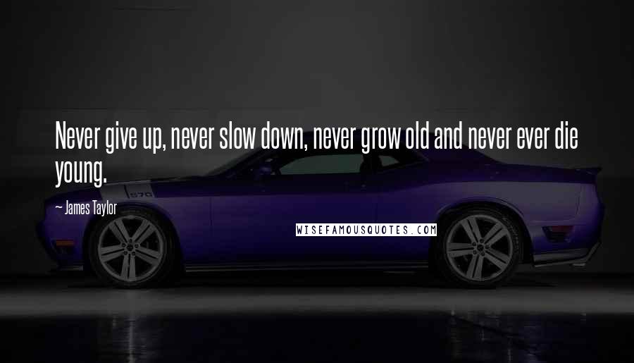 James Taylor Quotes: Never give up, never slow down, never grow old and never ever die young.