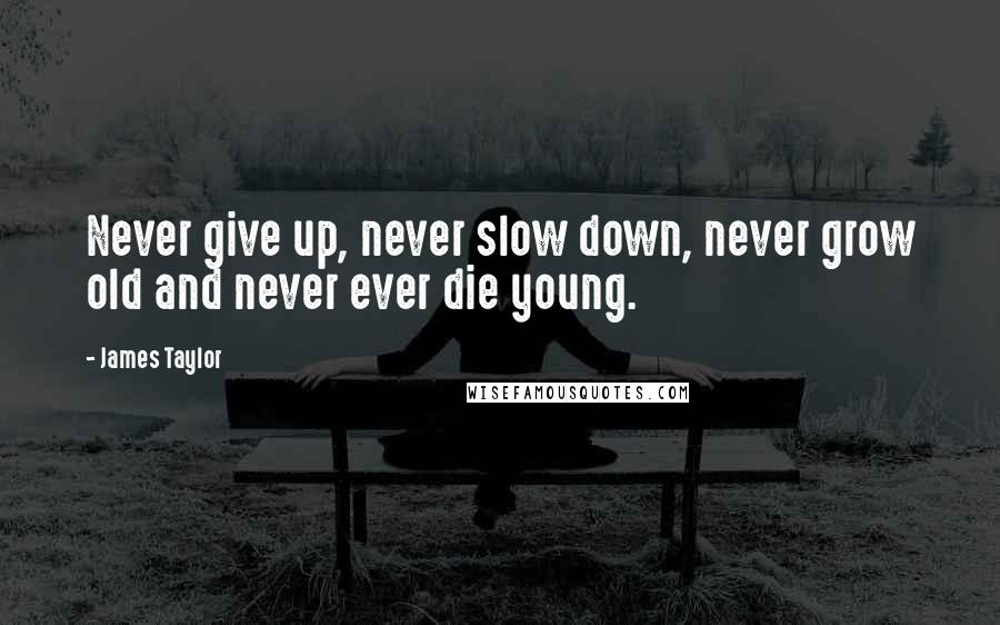 James Taylor Quotes: Never give up, never slow down, never grow old and never ever die young.