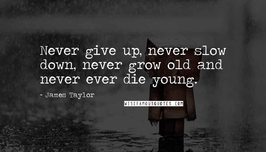 James Taylor Quotes: Never give up, never slow down, never grow old and never ever die young.