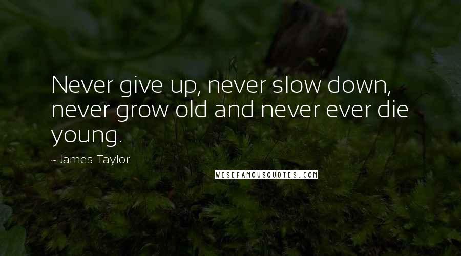 James Taylor Quotes: Never give up, never slow down, never grow old and never ever die young.