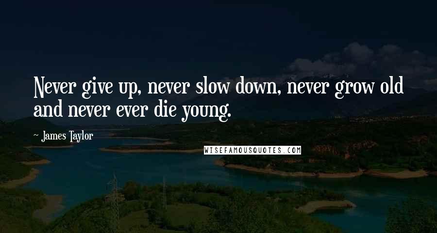 James Taylor Quotes: Never give up, never slow down, never grow old and never ever die young.