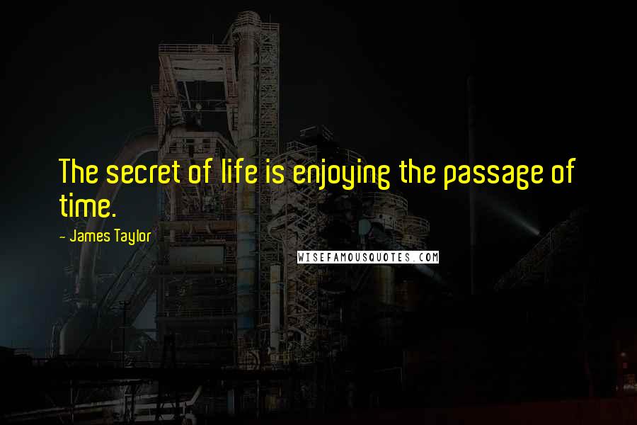 James Taylor Quotes: The secret of life is enjoying the passage of time.