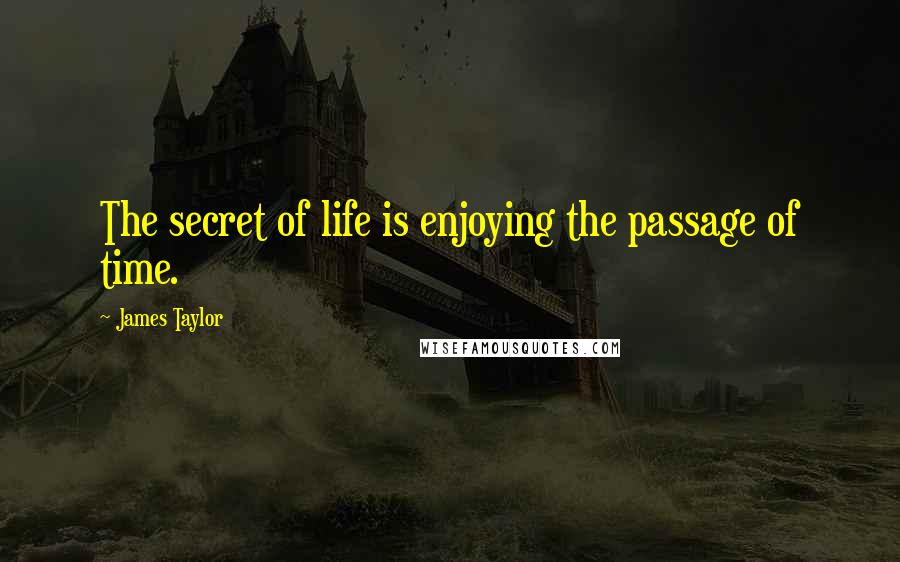 James Taylor Quotes: The secret of life is enjoying the passage of time.