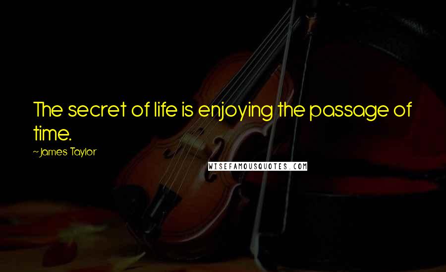 James Taylor Quotes: The secret of life is enjoying the passage of time.