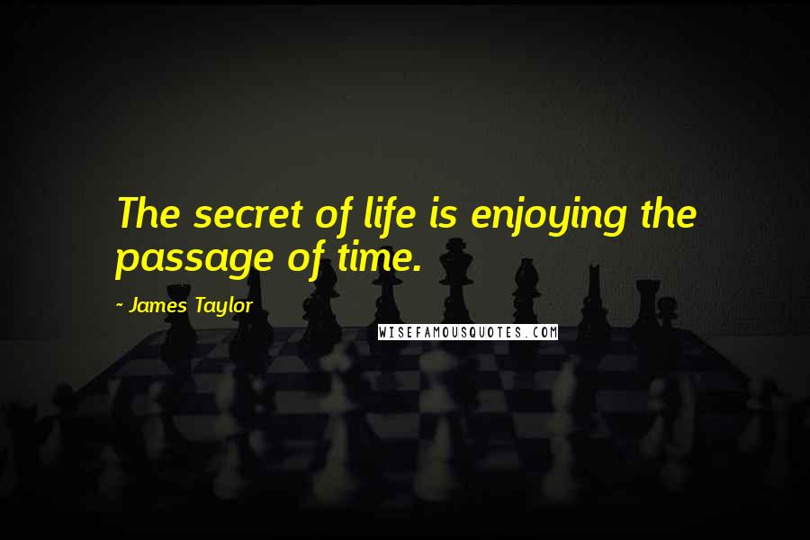 James Taylor Quotes: The secret of life is enjoying the passage of time.