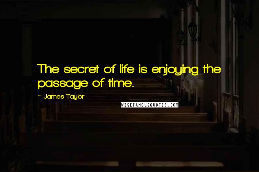 James Taylor Quotes: The secret of life is enjoying the passage of time.