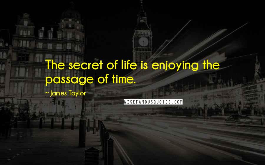 James Taylor Quotes: The secret of life is enjoying the passage of time.