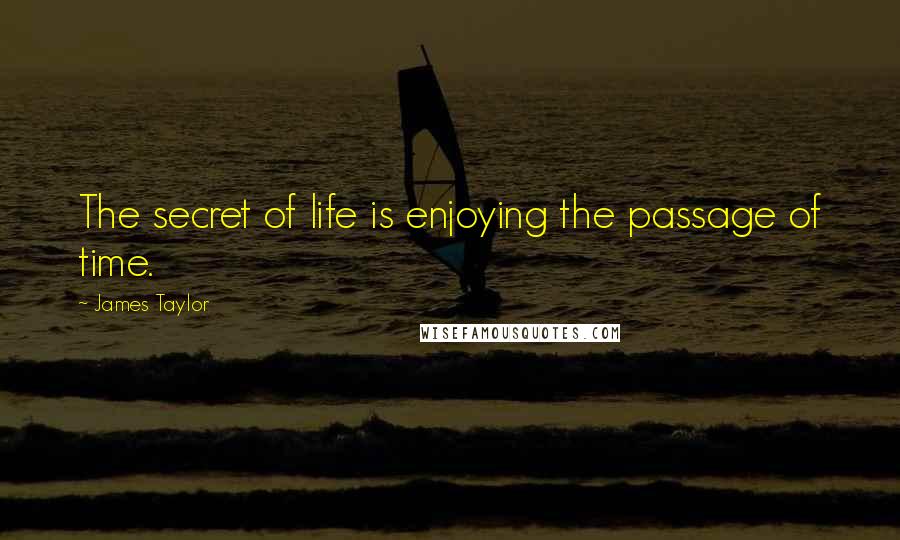 James Taylor Quotes: The secret of life is enjoying the passage of time.