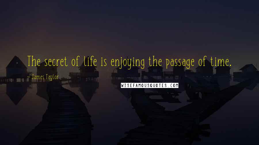 James Taylor Quotes: The secret of life is enjoying the passage of time.