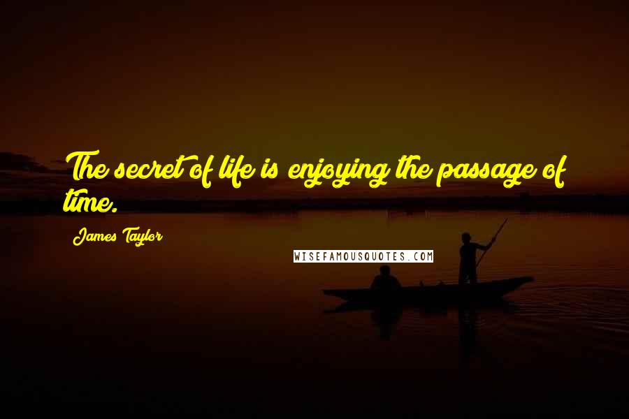 James Taylor Quotes: The secret of life is enjoying the passage of time.