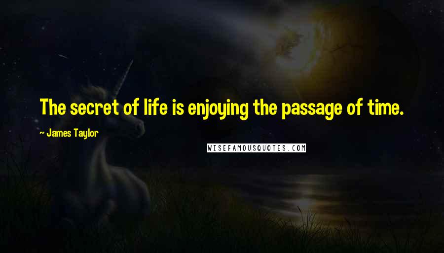 James Taylor Quotes: The secret of life is enjoying the passage of time.