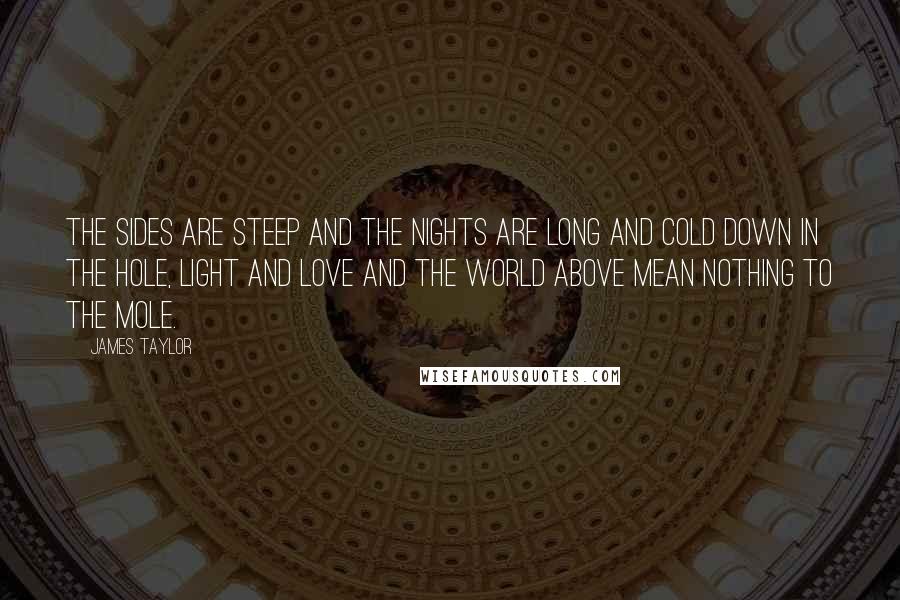 James Taylor Quotes: The sides are steep and the nights are long and cold down in the hole, light and love and the world above mean nothing to the mole.