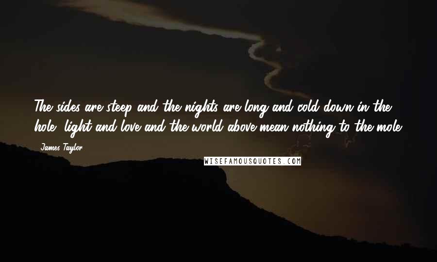 James Taylor Quotes: The sides are steep and the nights are long and cold down in the hole, light and love and the world above mean nothing to the mole.