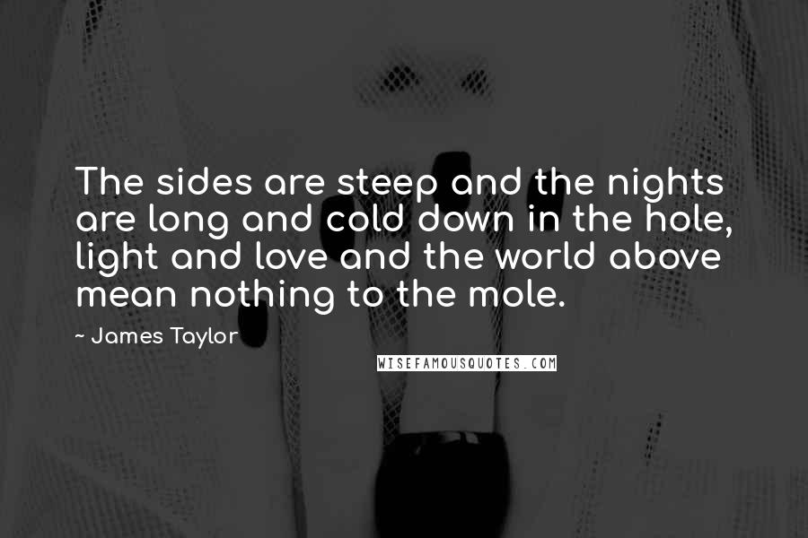 James Taylor Quotes: The sides are steep and the nights are long and cold down in the hole, light and love and the world above mean nothing to the mole.
