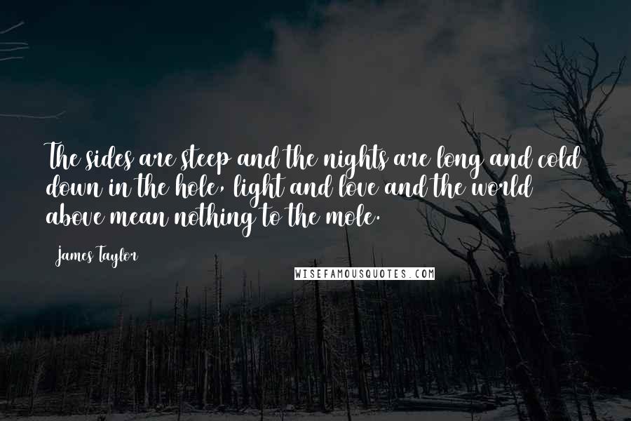 James Taylor Quotes: The sides are steep and the nights are long and cold down in the hole, light and love and the world above mean nothing to the mole.