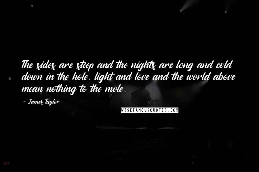 James Taylor Quotes: The sides are steep and the nights are long and cold down in the hole, light and love and the world above mean nothing to the mole.