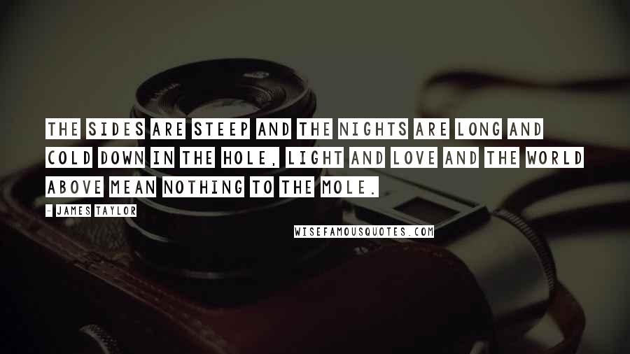 James Taylor Quotes: The sides are steep and the nights are long and cold down in the hole, light and love and the world above mean nothing to the mole.