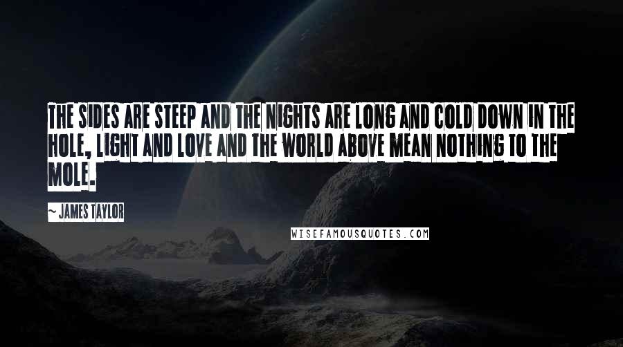 James Taylor Quotes: The sides are steep and the nights are long and cold down in the hole, light and love and the world above mean nothing to the mole.