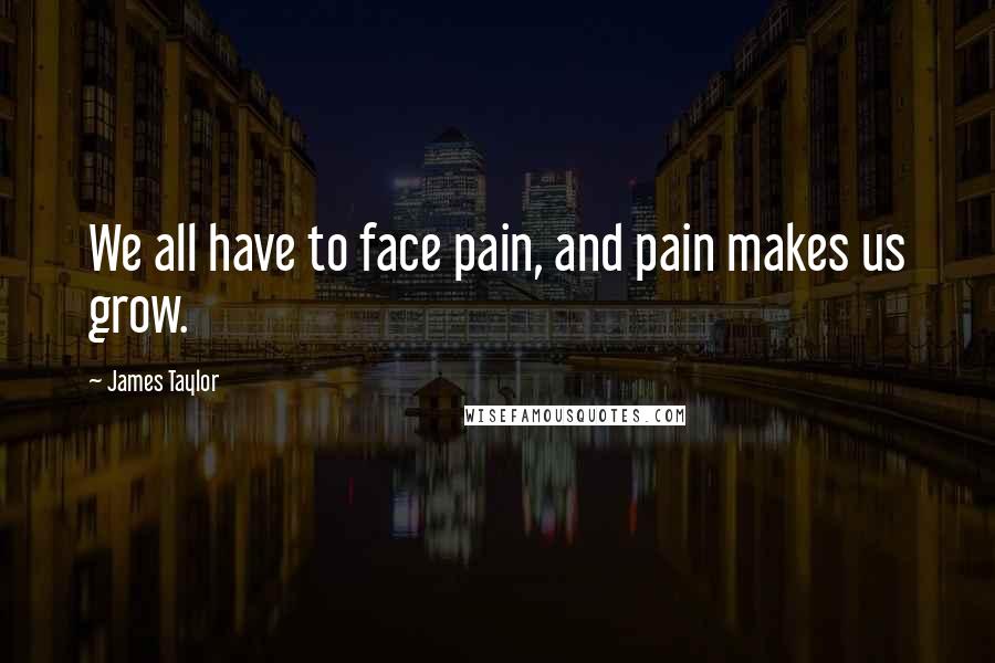 James Taylor Quotes: We all have to face pain, and pain makes us grow.