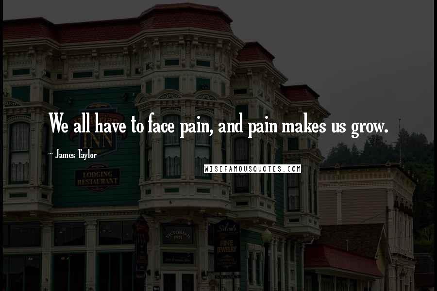 James Taylor Quotes: We all have to face pain, and pain makes us grow.