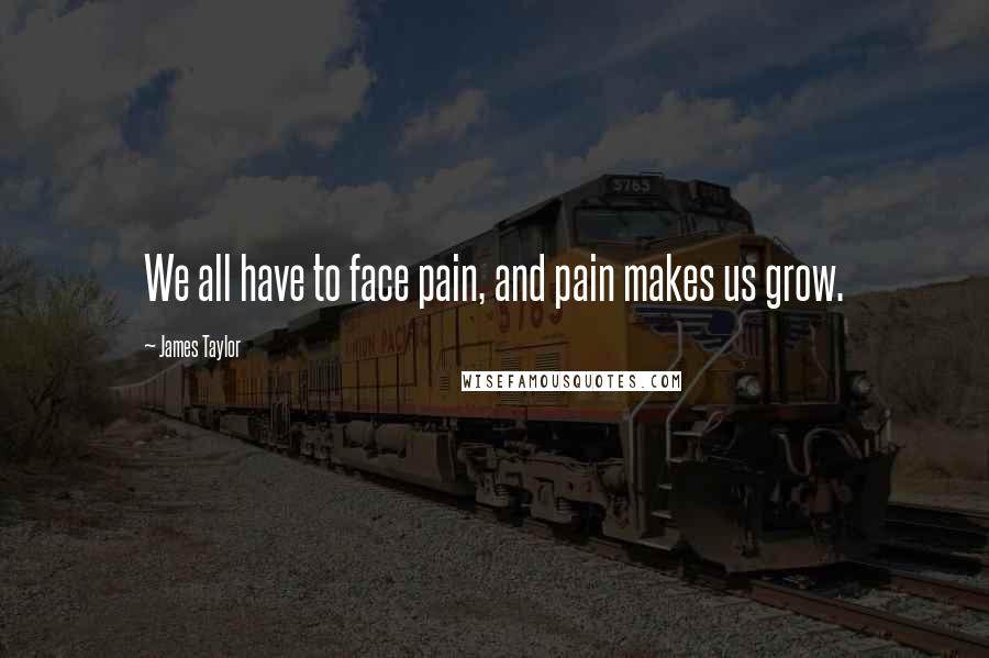 James Taylor Quotes: We all have to face pain, and pain makes us grow.