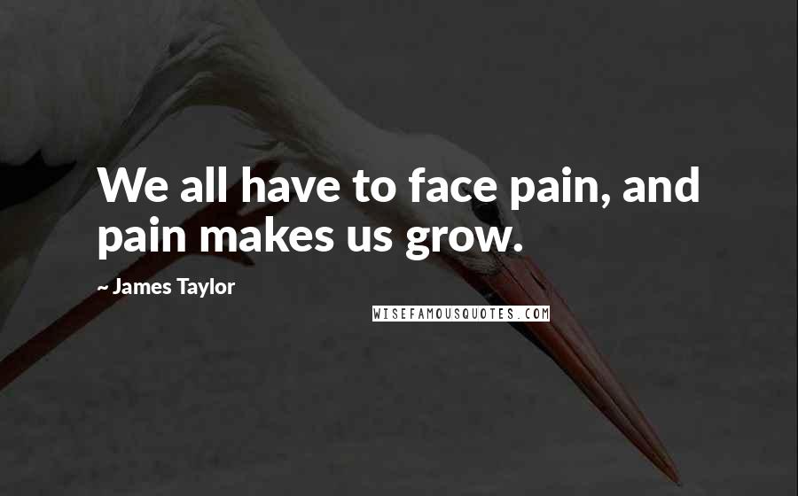 James Taylor Quotes: We all have to face pain, and pain makes us grow.