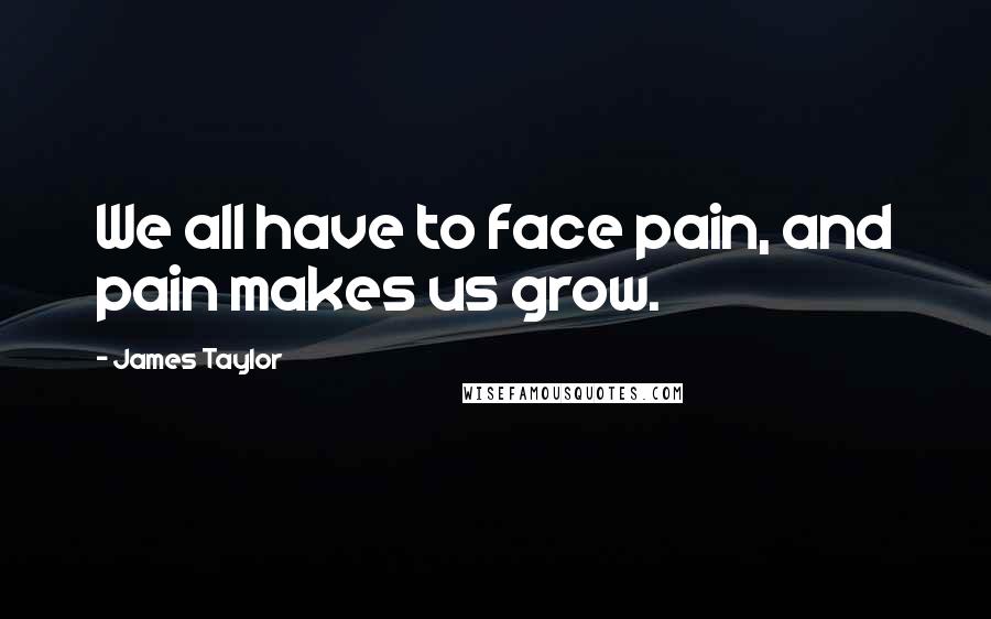 James Taylor Quotes: We all have to face pain, and pain makes us grow.