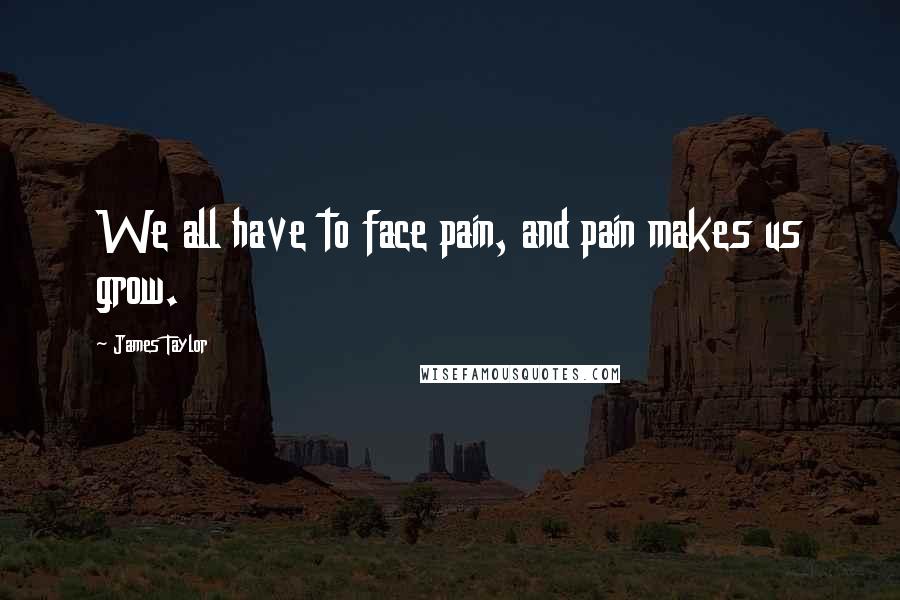 James Taylor Quotes: We all have to face pain, and pain makes us grow.