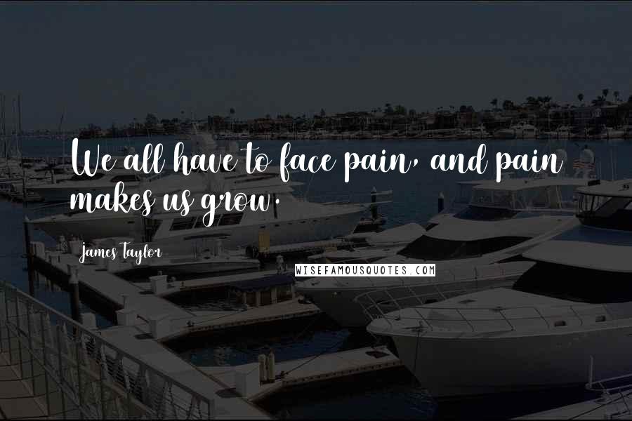 James Taylor Quotes: We all have to face pain, and pain makes us grow.