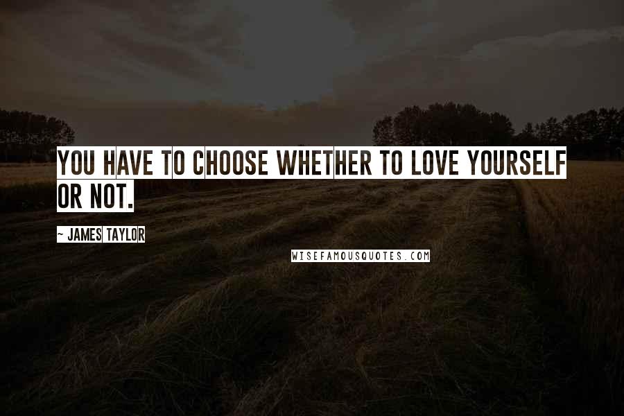 James Taylor Quotes: You have to choose whether to love yourself or not.