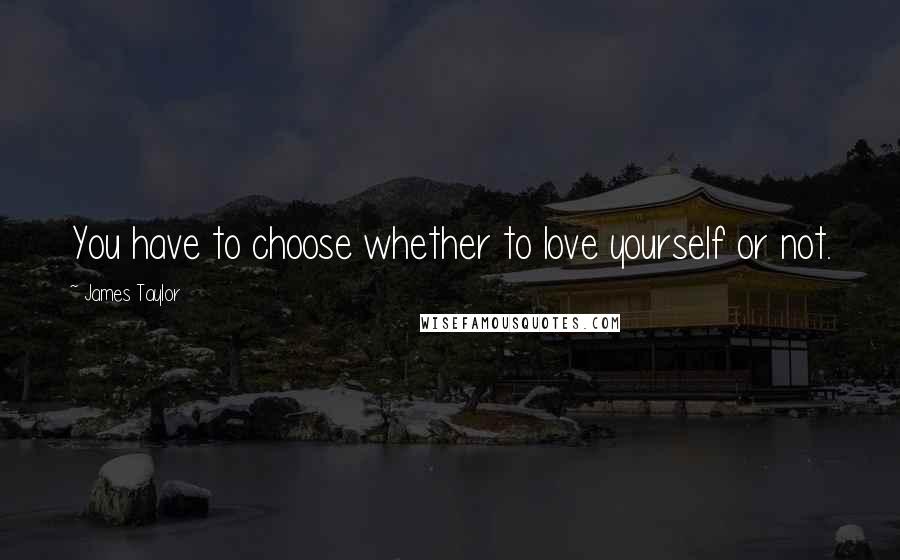 James Taylor Quotes: You have to choose whether to love yourself or not.