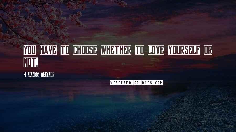 James Taylor Quotes: You have to choose whether to love yourself or not.