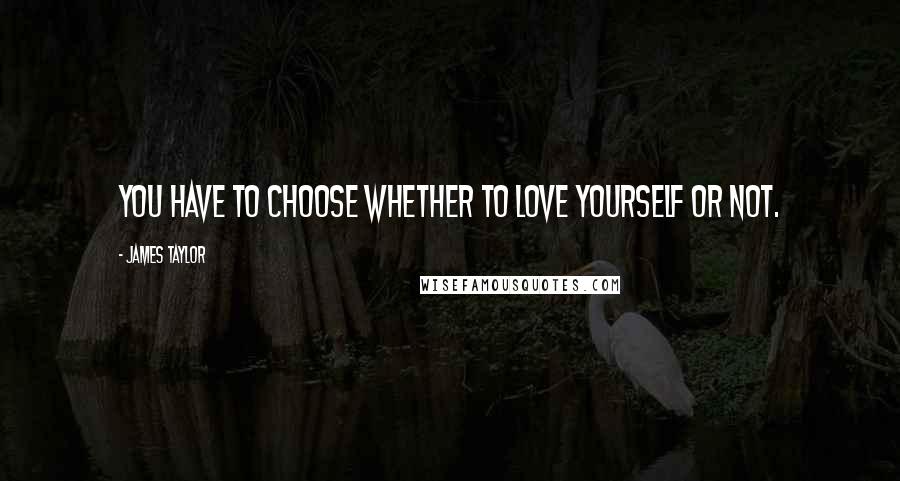 James Taylor Quotes: You have to choose whether to love yourself or not.