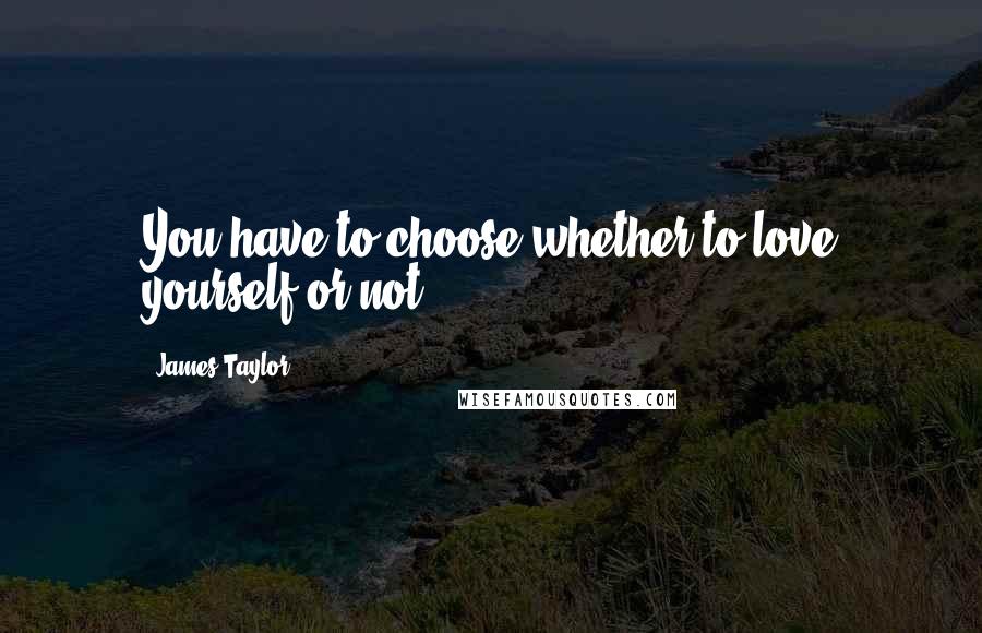 James Taylor Quotes: You have to choose whether to love yourself or not.