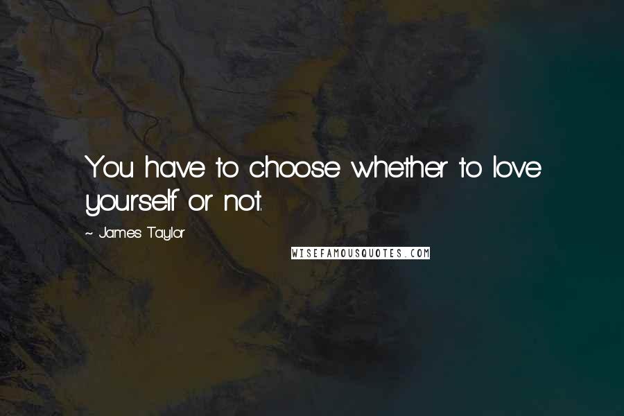 James Taylor Quotes: You have to choose whether to love yourself or not.